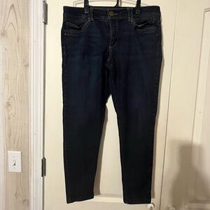 Democracy women’s Deep Indigo Skinny Jeans